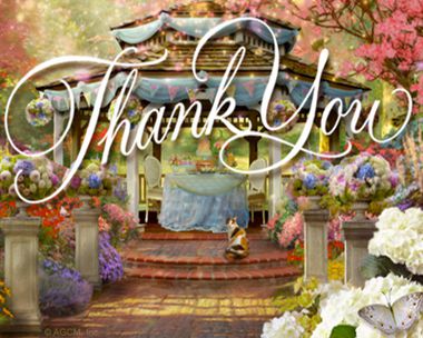 Thank You Reply Card