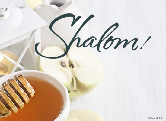 Shalom Reply artwork