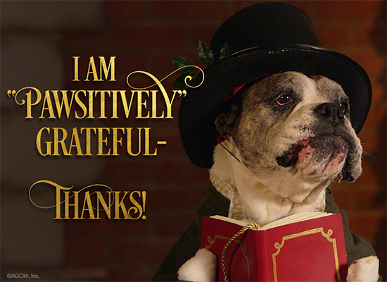 Pawsitively Grateful Reply artwork