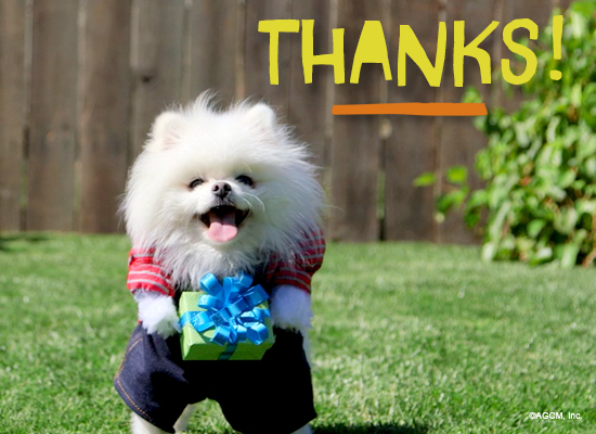 Paws to Say Thanks Reply artwork