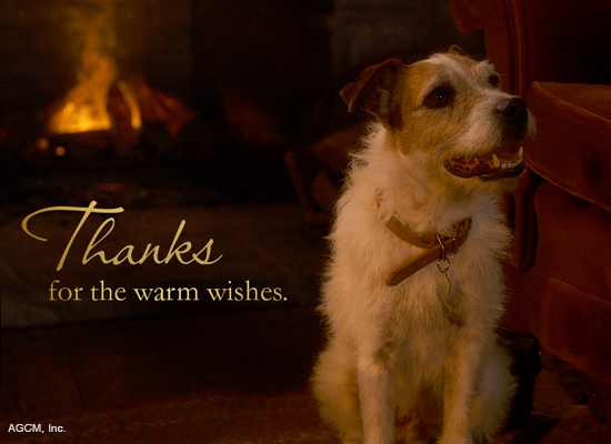 Warmest Thanks Reply artwork
