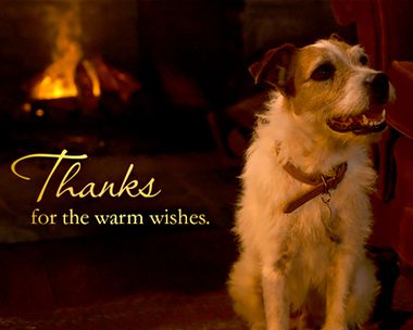 Warmest Thanks Reply