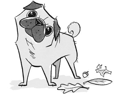 Sagittarius 11/22 - 12/21