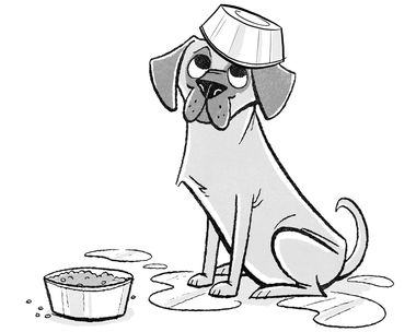 Aquarius 1/20 - 2/18