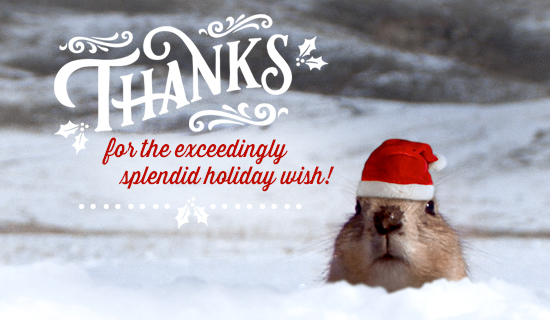 Exceedingly Splendid Reply Card artwork