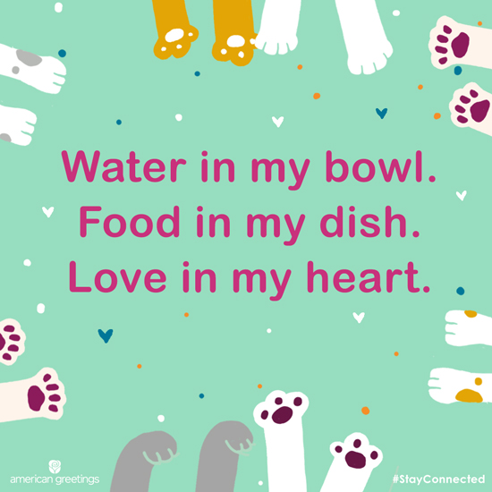 From the Fur Baby (Postcard) artwork