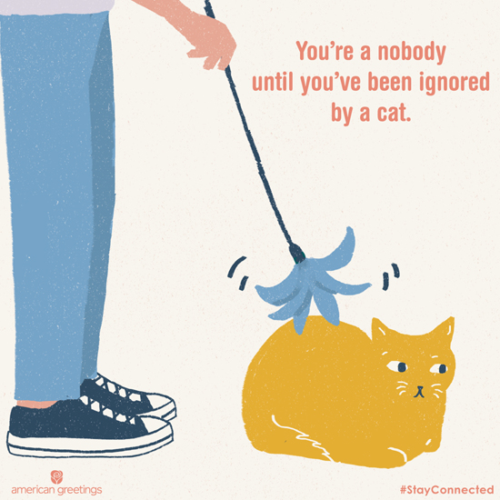 Ignored by a Cat (Postcard) artwork