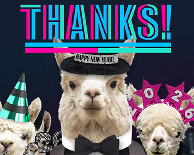 Llama Gonna Be Thanking You Reply