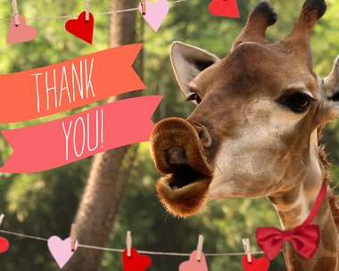 You Sexy Thing Reply