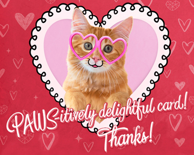 Paws-itively Delightful Reply