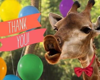 Birthday Thank You Reply