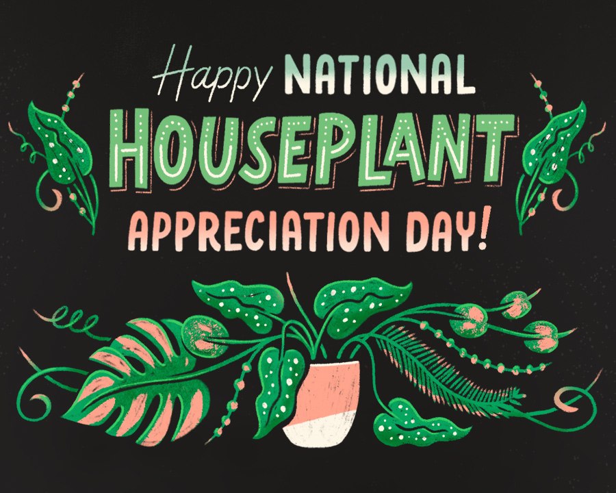 "National Houseplant Appreciation Day" Postcards Blue Mountain