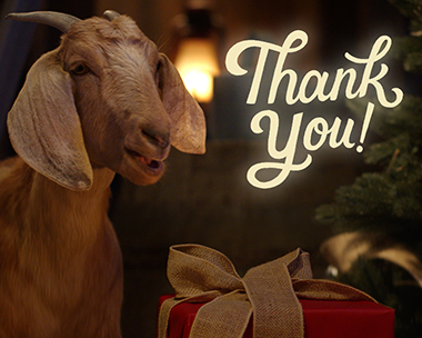 Holiday Barnyard Thank You Reply
