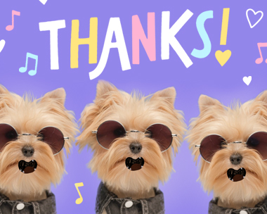 Dog-Gone Grateful! Reply