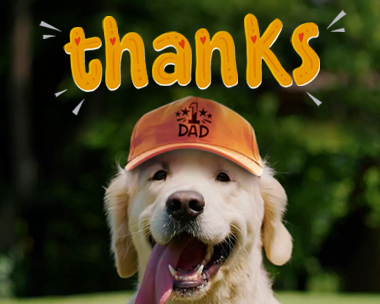 Puppies for Papa Thanks Reply