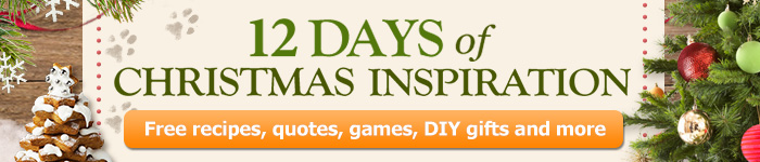 12 Days of Christmas Marketing Banner