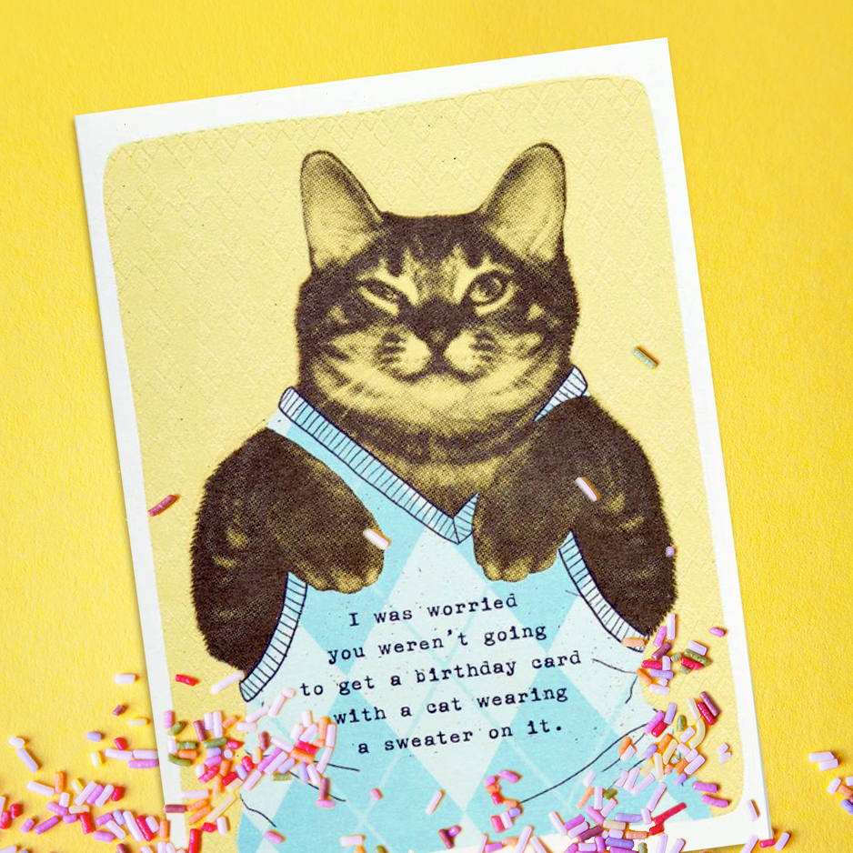 They Can Talk Cards Funny Cat Will it Bounce Birthday/Blank Greeting Card