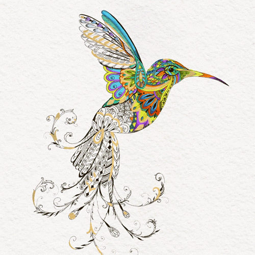 hummingbird coloring page