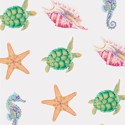 seashells and turtles wallpaper