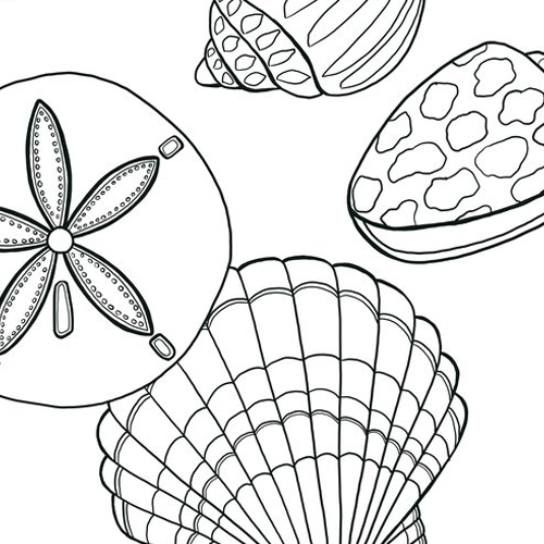Bella Seashells Coloring Page
