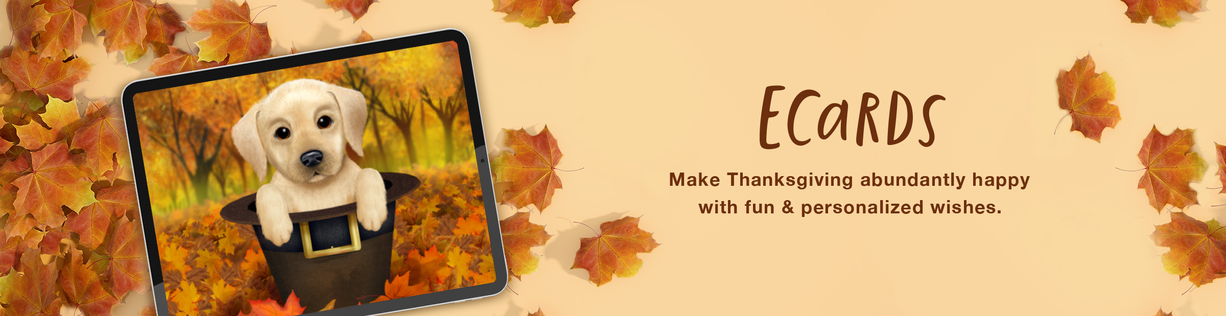 Ecards - Send Online Greeting Cards | American Greetings