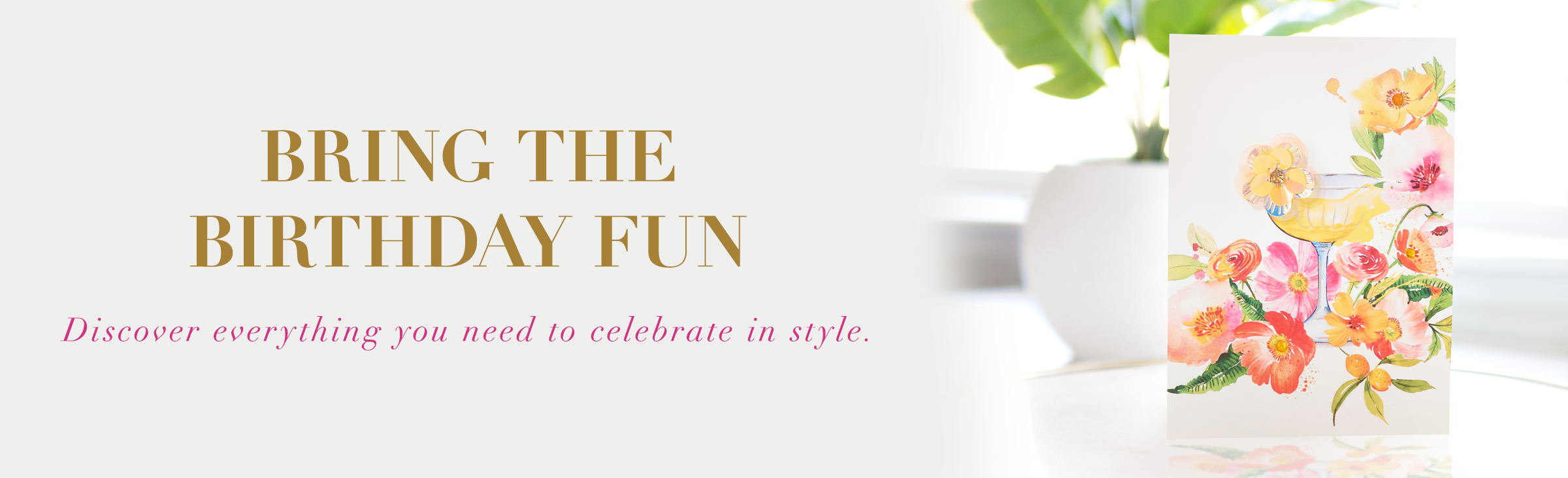 Bring the Birthday Fun Discover everything you need to celebrate in style