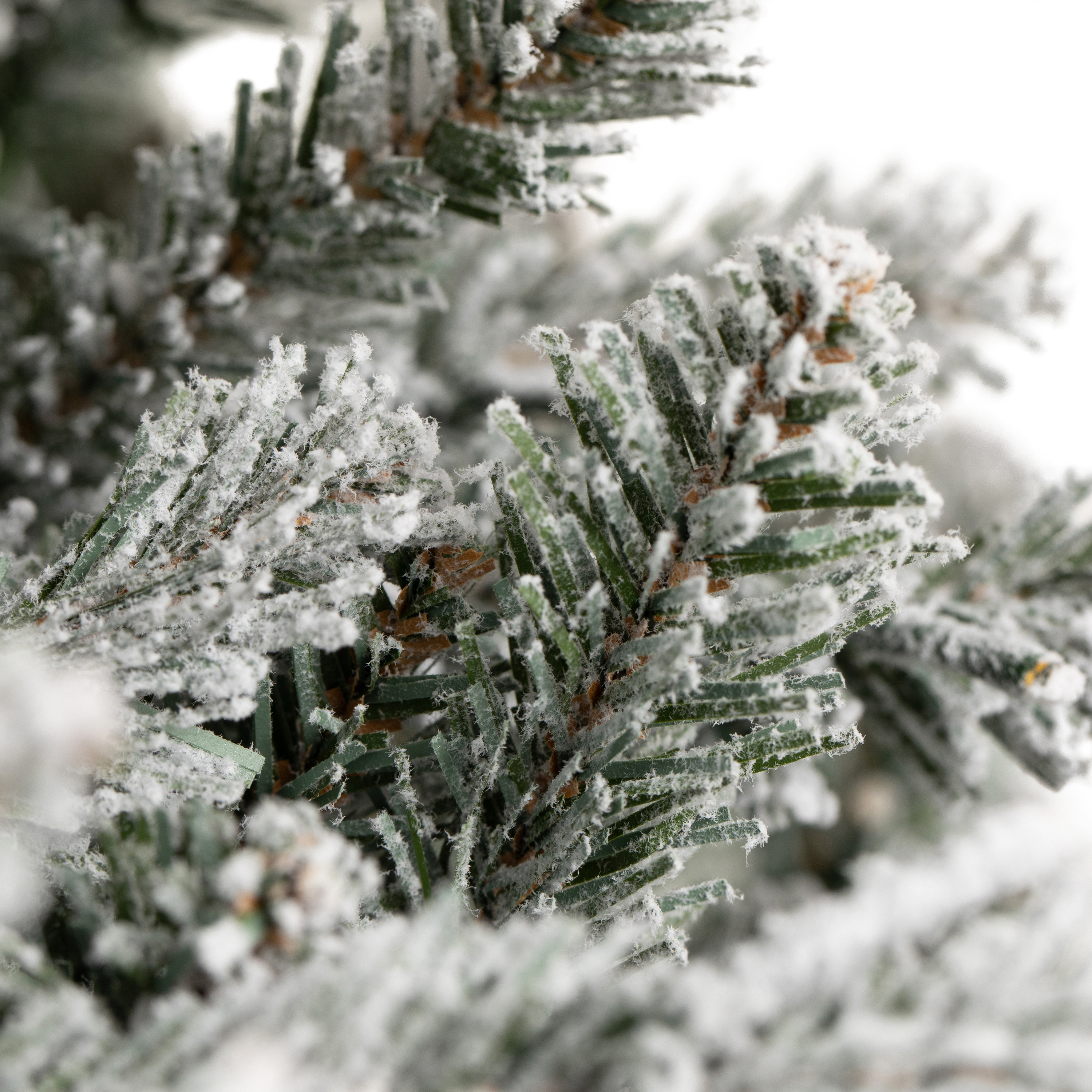 Wreath Blue Spruce Frosted