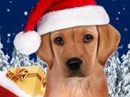 Santa Puppy Talking Card Christmas eCards