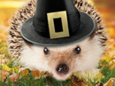 Holiday Hedgehug Talking Card Thanksgiving eCards