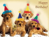 Singing Dogs - Happy Birthday Ecard | American Greetings