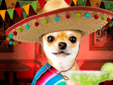 Holy Guacamole!<br>Talking Card