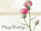 My Wonderful Father Ecard