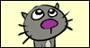 All about the Cat