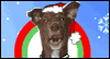 Christmas Song