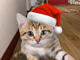 Holidays Sneak Up on You