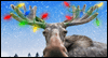 Merry Chrismoose!<br>Talking Card