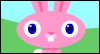 Bunny Trails