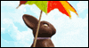Chocolate Bunnies