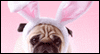 Easter/April Fool's Day<br>4/1/18