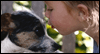 Adopt-A-Dog Month