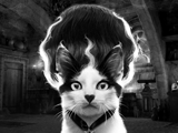 Bride of Frankencat<br>Talking Card