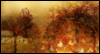 Halloween Smiles <br> on You