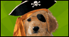 Pirate Puppy