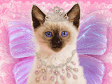 Princess Kitty<br>Talking Card