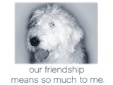 Because of Our Friendship