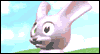 Hoppy Day