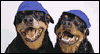 Who Let the Dogs Out?