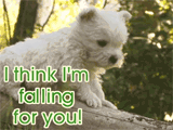 Falling for You