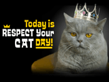 3/28 Respect Your Cat Day