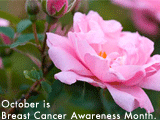 Breast Cancer Month